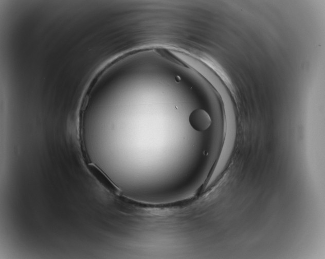 X0000090620996200707171432