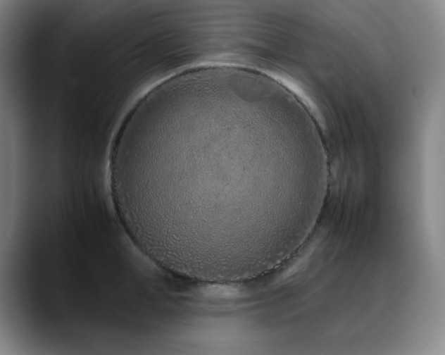 X0000090620998200707171432
