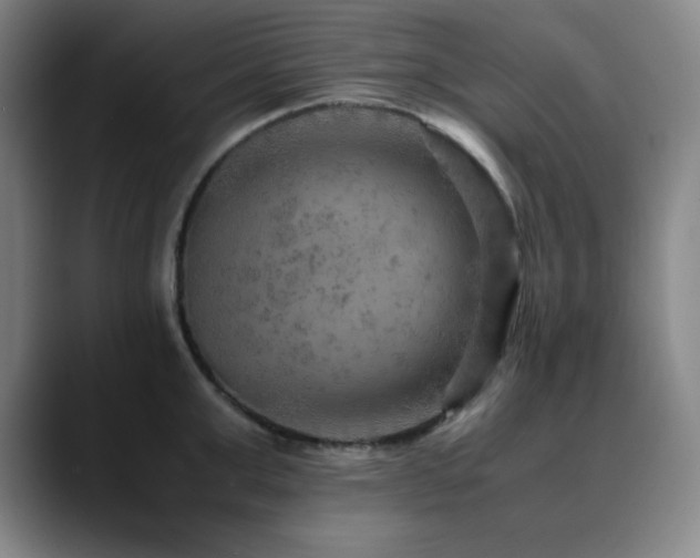 X0000090620999200707171432