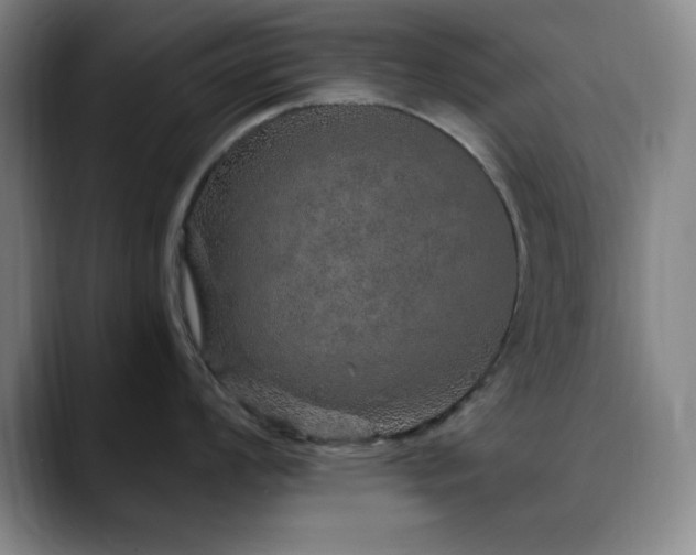 X0000090621008200707171432