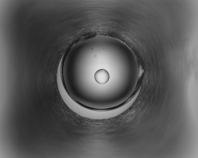 X0000090621010200707171431