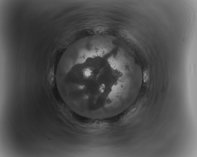 X0000090621011200707171431