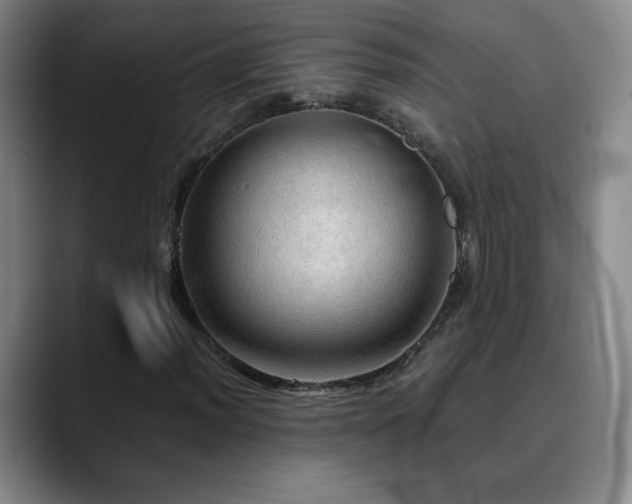 X0000090621012200707171431