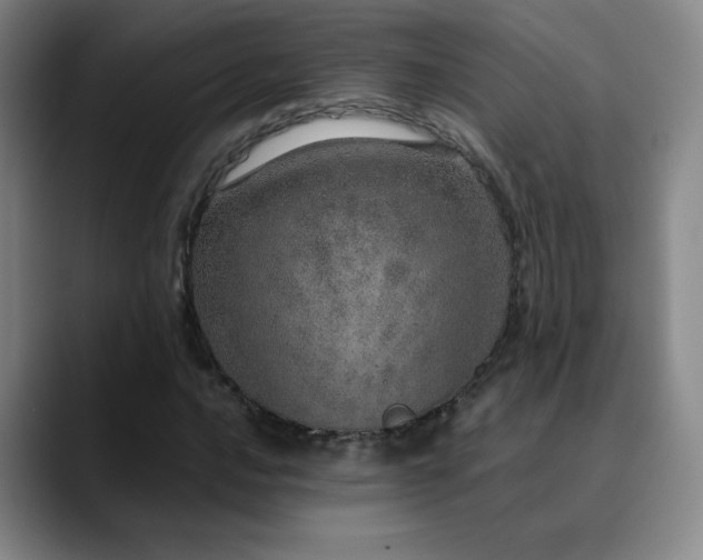 X0000090621016200707171431