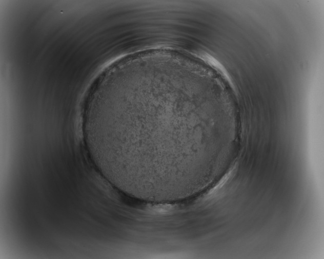 X0000090621019200707171431