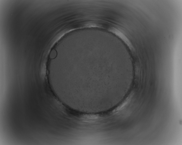 X0000090621023200707171431