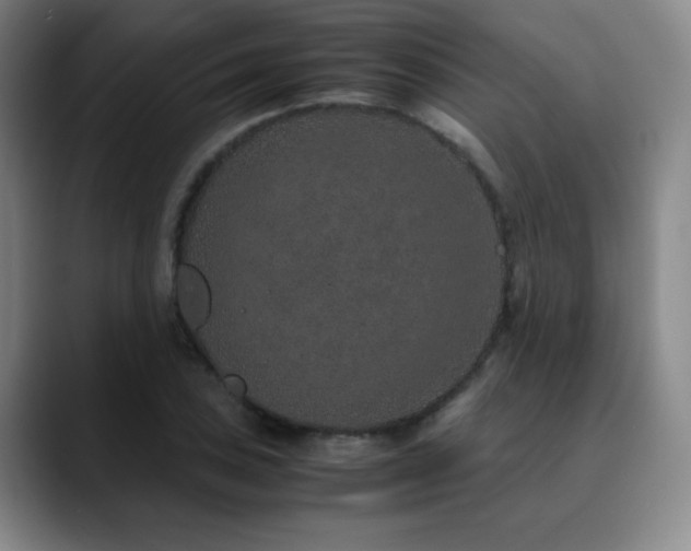 X0000090621027200707171431