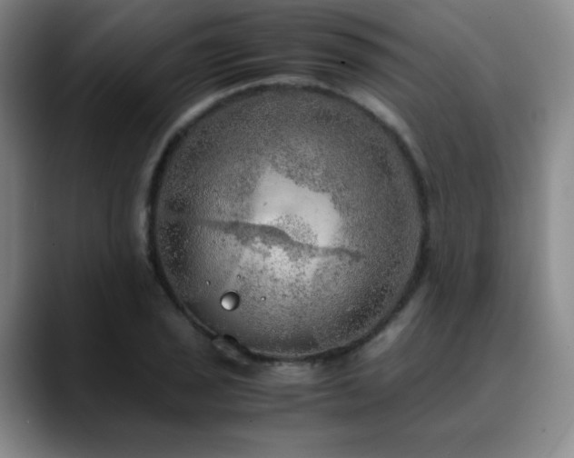 X0000090621029200707171431