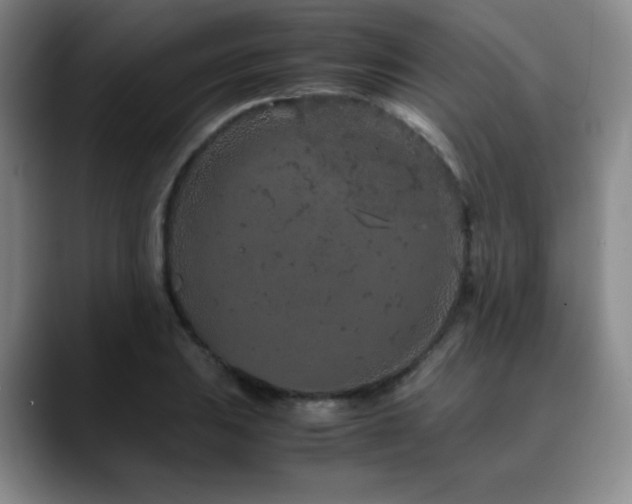 X0000090621031200707171431