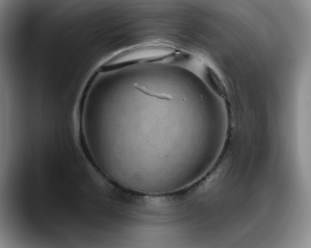 X0000090621032200707171431