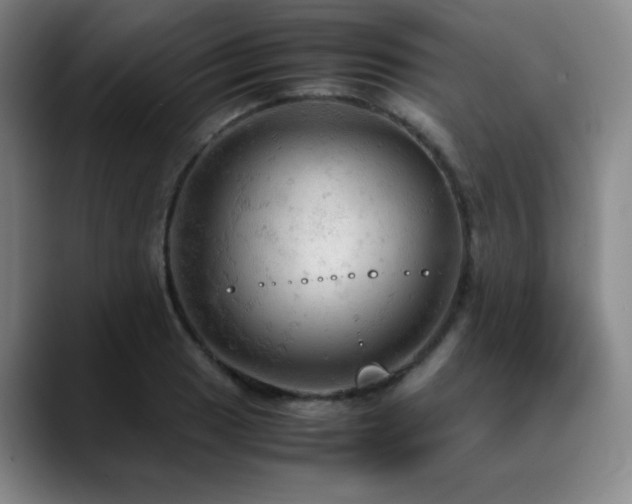 X0000090621033200707171431