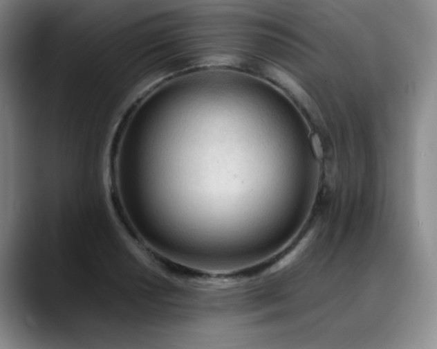 X0000090621034200707171431