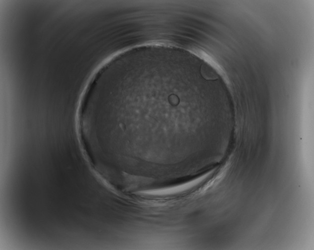 X0000090621037200707171431