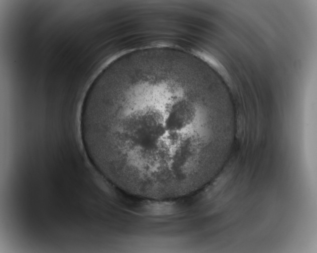 X0000090621039200707171431