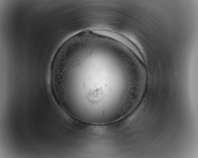 X0000090621040200707171431