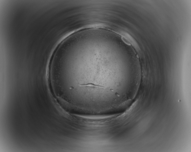 X0000090621044200707171431