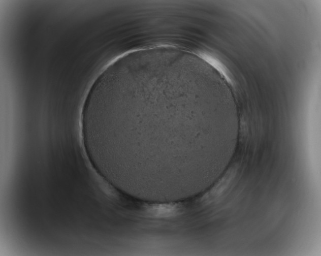 X0000090621047200707171432