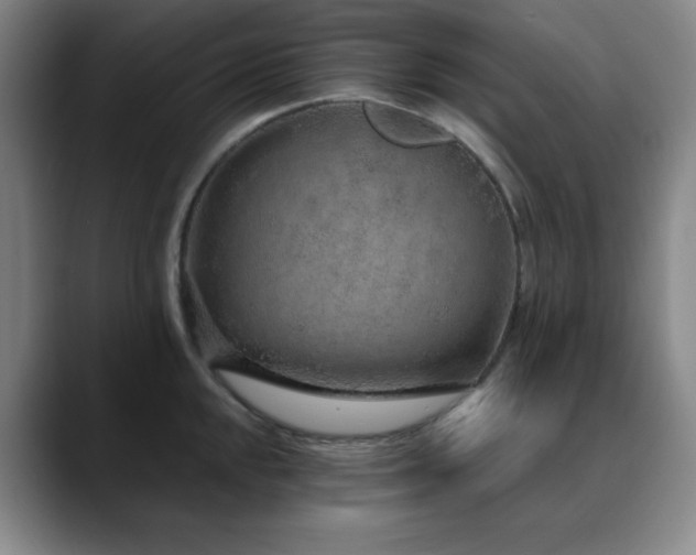 X0000090621048200707171432