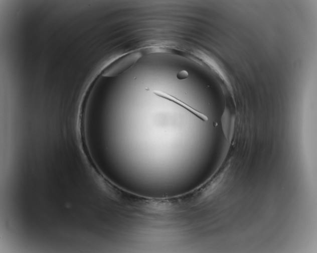 X0000090621050200707171432