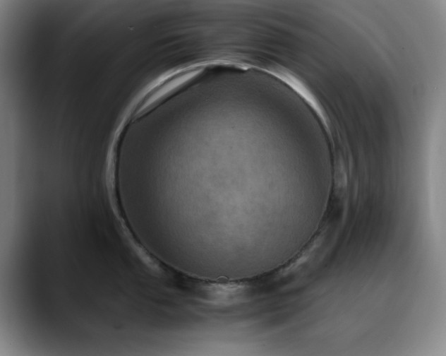 X0000090621053200707171432