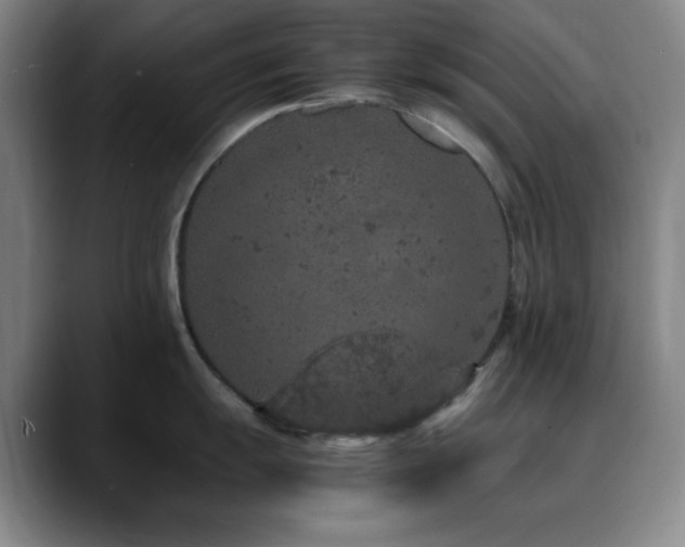 X0000090621055200707171432