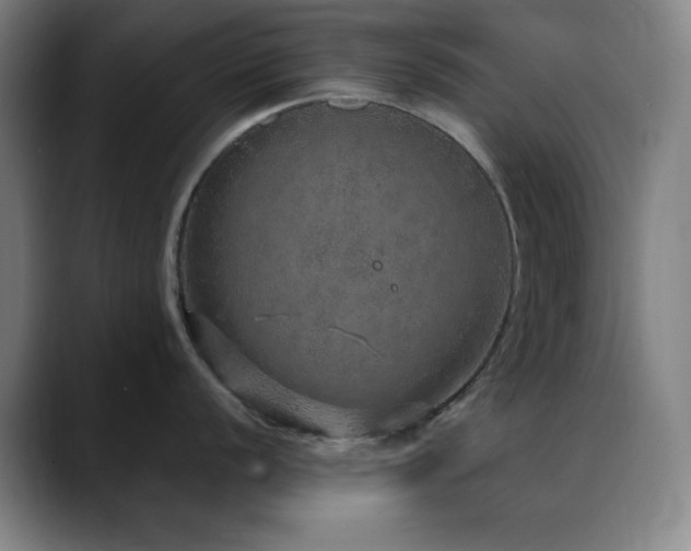 X0000090621056200707171432