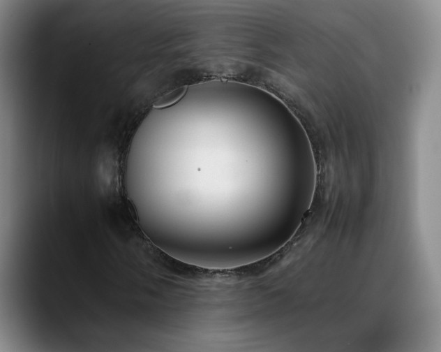 X0000090621058200707171431