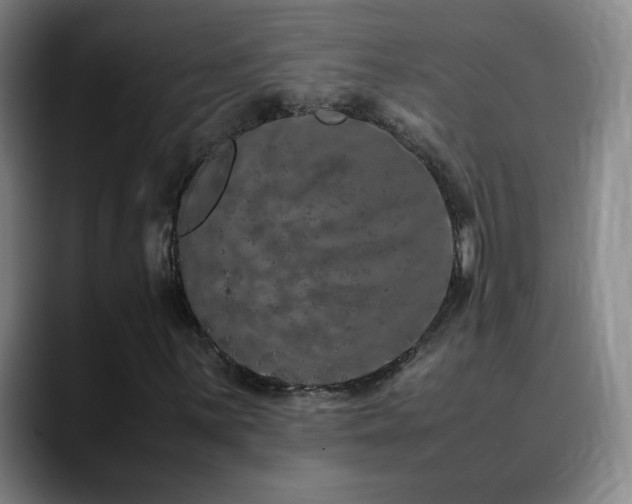 X0000090621059200707171431