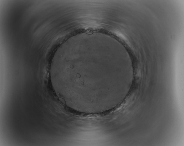 X0000090621063200707171431