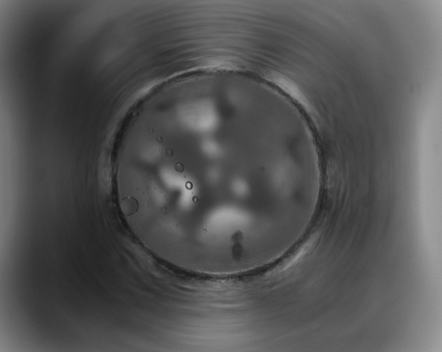 X0000090621067200707171431