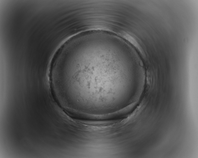X0000090621068200707171431