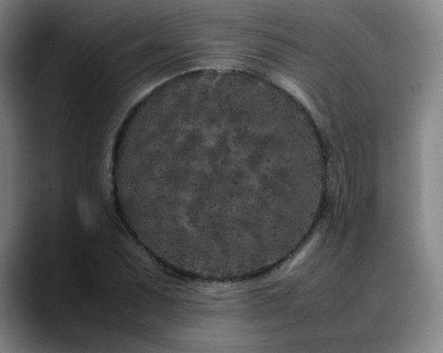 X0000090621071200707171431