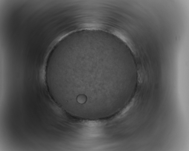 X0000090621074200707171431