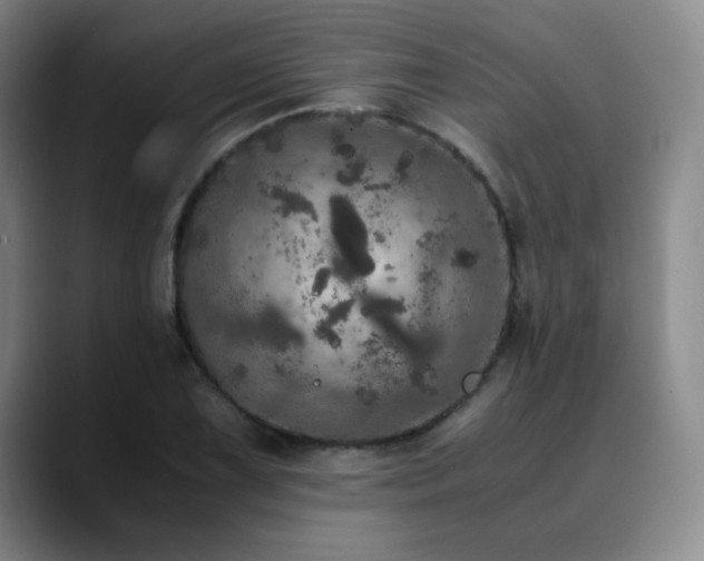 X0000090621075200707171431