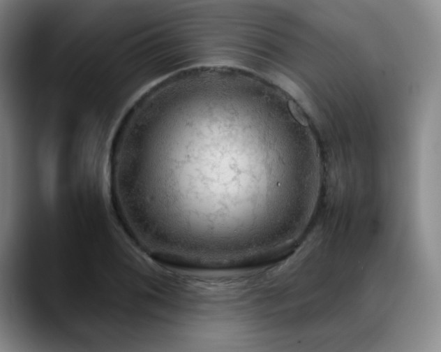 X0000090621076200707171431