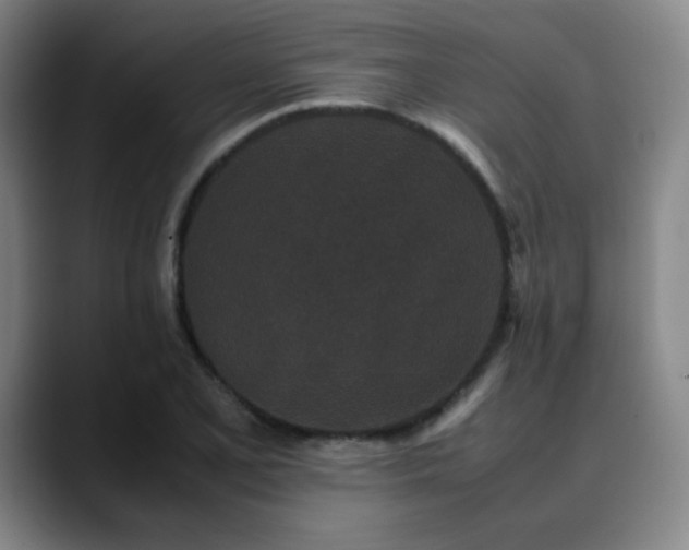 X0000090621077200707171431