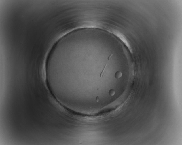 X0000090621080200707171431