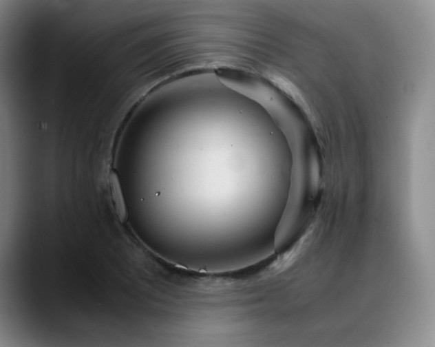 X0000090621081200707171431