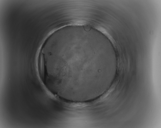X0000090621083200707171431