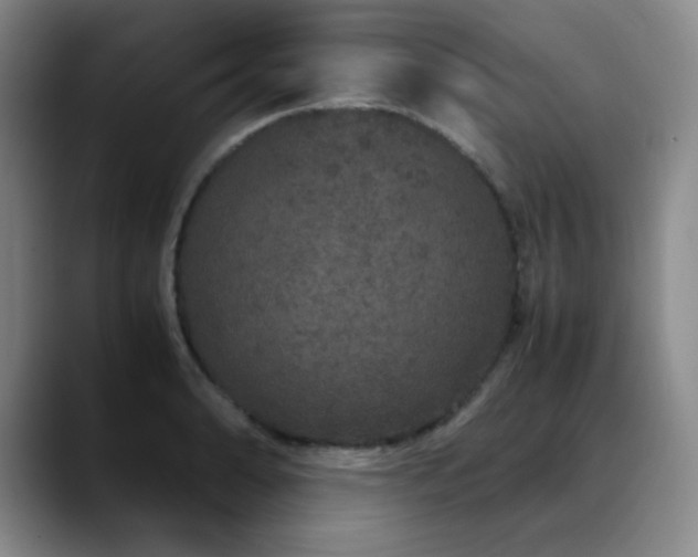 X0000090621086200707171431