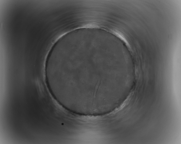 X0000090621087200707171431