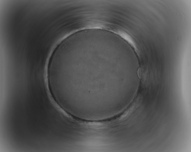 X0000090621088200707171431
