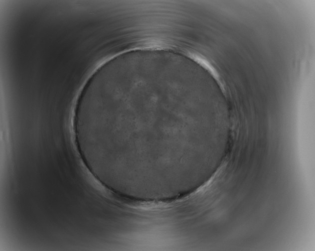 X0000090621091200707171430