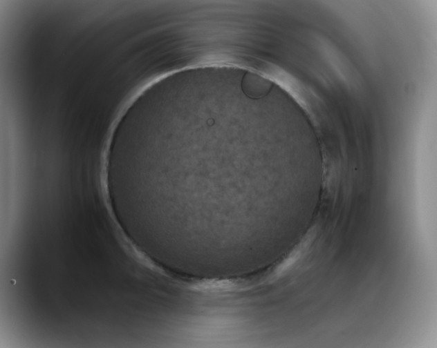 X0000090621094200707171430