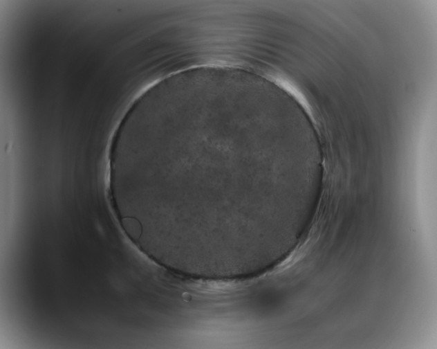 X0000090621095200707171430