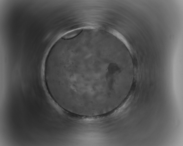 X0000090621099200707171430