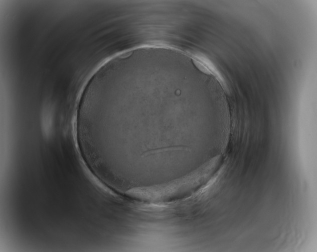 X0000090621100200707171430