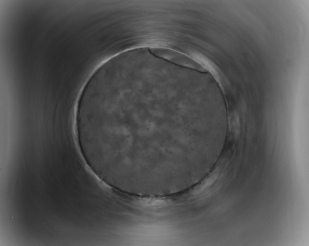 X0000090621103200707171430