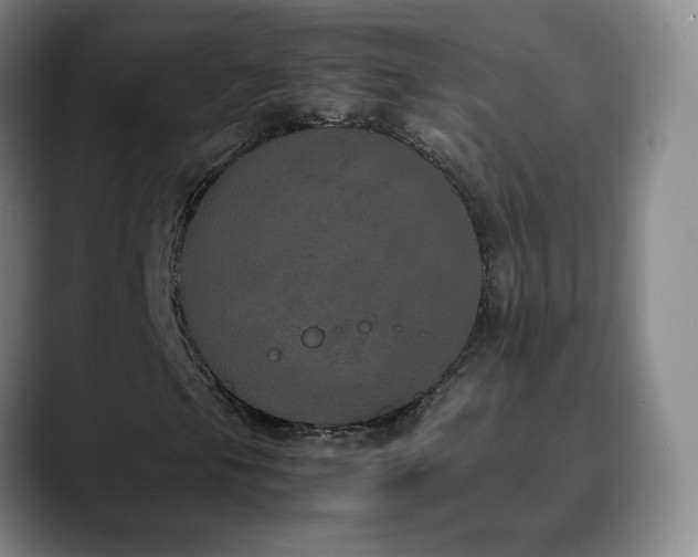 X0000090621105200707171430