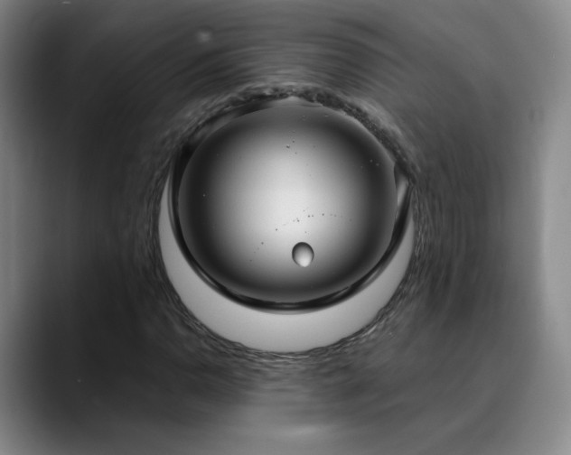 X0000090621110200707171430